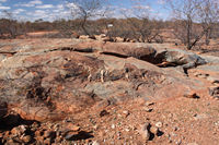 _ in an area of gnamma holes 